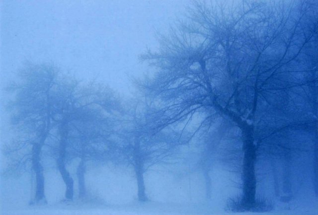 135_inverno_tema effetto notte